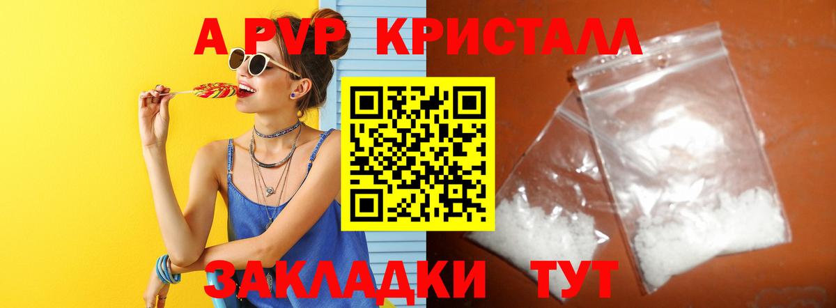 Альфа ПВП СК КРИС Элиста