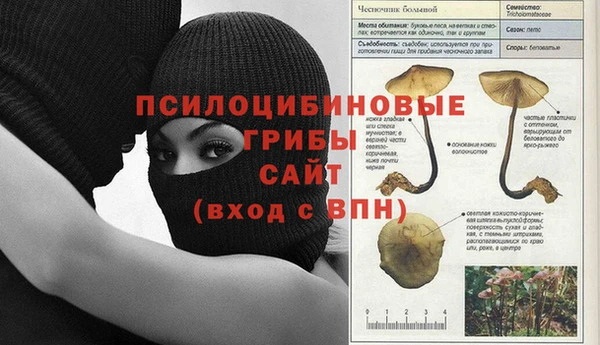 гашиш Магас