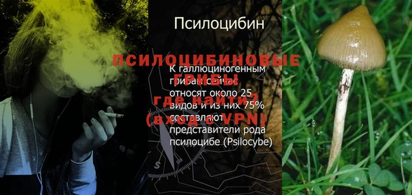 apvp Магадан