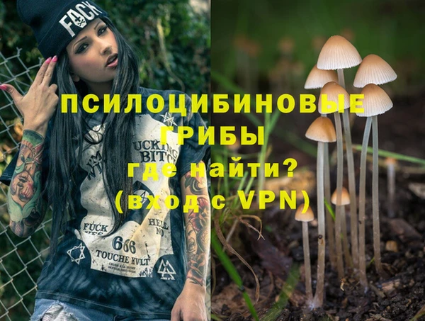 гашиш Магас