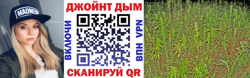 Бошки марихуана VHQ  Элиста 